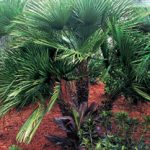 article image - 